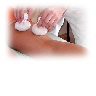 biologische Kruteraus eigenem Anbau